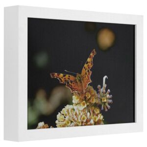 Fotolijst - Wit met zichtbare houtnerf - 7 cm hoog profiel, 24x30cm