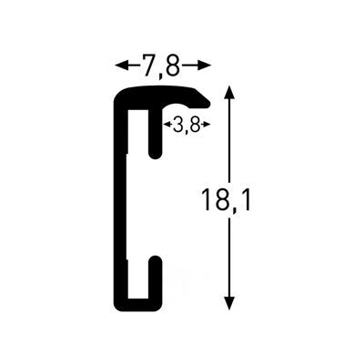 Nielsen Fotolijst 51221 Accent Goud 10x15 cm